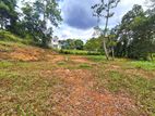 Prime Paddy Field facing scenic Residential Land for Sale in Malabe