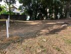 Prime Residential 20 Perch Land in the Heart of Thalawathugoda