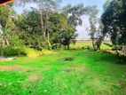 Prime Residential Bare Land for Sale in Malabe