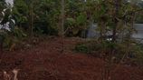 Residential Land Sale - Thalawathugoda