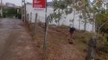 Residential Land Sale - Thalawathugoda