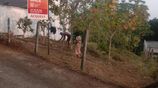 Residential Land Sale - Thalawathugoda