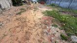 Prime Residential Land for Sale – Dehiwala
