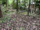 Prime Residential Land for Sale in Amunugama, Kandy