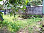Prime Residential Land for Sale in Arawwala - Pannipitiya