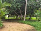 Prime Residential Land for Sale in Battaramulla City (SL 14647)
