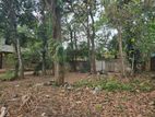 Prime Residential Land for Sale in Boralesgamuwa