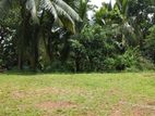 Prime Residential Land for Sale in Colombo 05