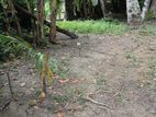 Prime Residential Land for Sale In Gampaha Town