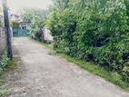 Prime Residential Land for Sale in Kandana