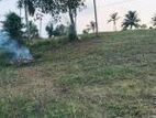 Prime Residential Land for Sale in Kiriberiya, Panadura