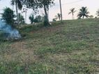 Prime Residential Land for Sale in Kiriberiya, Panadura