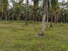 Prime residential Land for sale in Kurunagala