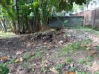 Prime Residential Land for Sale in Mount Lavinia