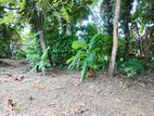 Prime Residential Land for Sale in Pannipitiya
