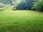 Prime Residential Land for Sale in Talawatugoda – Kalalgoda