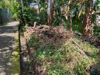 Prime Residential Land for Sale - Kalegana