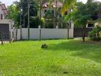 Prime Residential Land for Sale Kandana