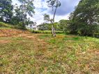 Prime Residential Land for Sale – Malabe