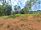 Prime Residential Land for Sale – Malabe
