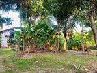 Prime Residential Land for Sale – Mount Lavinia