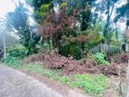 Prime Residential Land for Sale Near Thalawathugoda
