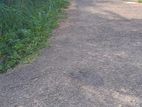 Prime Residential Land for Sale on Athurugiriya Prajashalawa Road