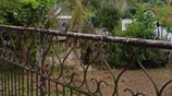 Prime Residential Land For Sale - Ragama Kadawatha Main Road