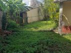 Prime Residential Land for Sale – Rajagiriya, Colombo Suburb