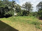 Prime Residential Land for Sale – Thalawathugoda
