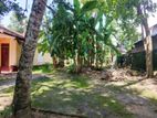 Prime Residential Land for Sale – Thudella, Ja-Ela.