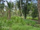 Prime Residential Land for Sale – Wathumulla Gampaha