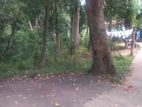 Prime Residential Land for Sale – Wattegama