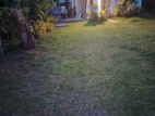 Prime Residential Land with House for Sale – Mount Lavinia