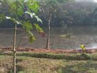Prime Riverside Land for Sale – Bandaragama