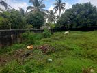 Prime Road-Facing Land for Sale in Thoppuwa - Negombo (C7-4606)