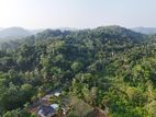 Prime Roadside Land for Sale in Thalgaswala - Galle