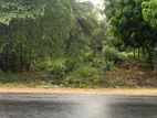 Prime Roadside Land for Sale – Near Lunugamvehera