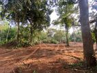 Prime Sea View Land for Sale in Dickwella