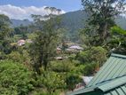 Prime Tourist Property for Sale – 14.43 Perches in Ella