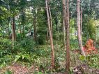 Prime Valuable Land for Sale – Mawanella, Kegalle