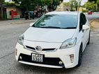 Prius Car for Rent