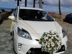 Prius Hybrid Wedding Car for Hire