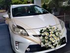 Prius Hybrid Wedding Car for Hires