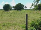 Land for Sale - Trincomalee