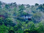 Private Rainforest Villa Estate – A Rarity in Sri Lanka (Kaluthara)
