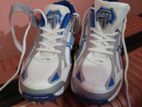 Pro Ace Cricket Shoe