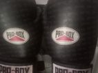Pro Boxing Glowe