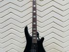 Pro session Bass guitar