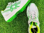 Cricket Shoes